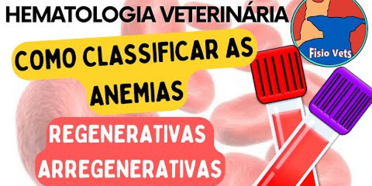 Liver Supplement For Dogs: When Should You Use Them?