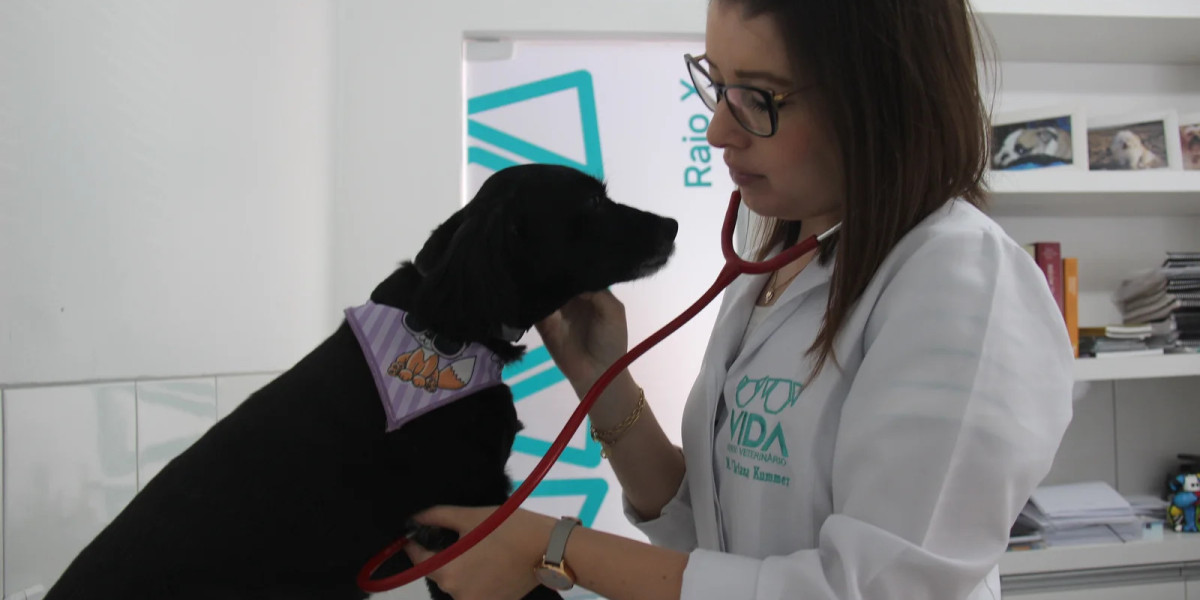 14 Signs of Kidney Failure in Dogs