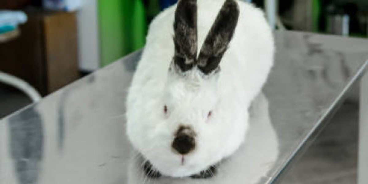 Collection and Submission of Laboratory Samples from Animals Clinical Pathology and Procedures