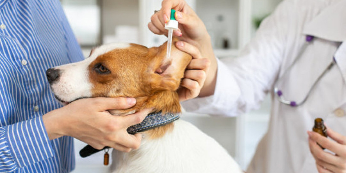 Emergency Veterinarian Salary May 2024