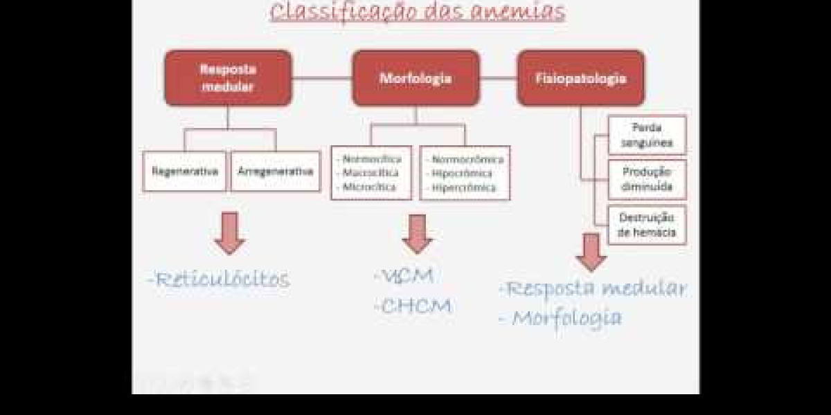 Descubra Tudo Sobre o CHCM Canino: O Que É e Por Que Importa para a Saúde do Seu Melhor Amigo!