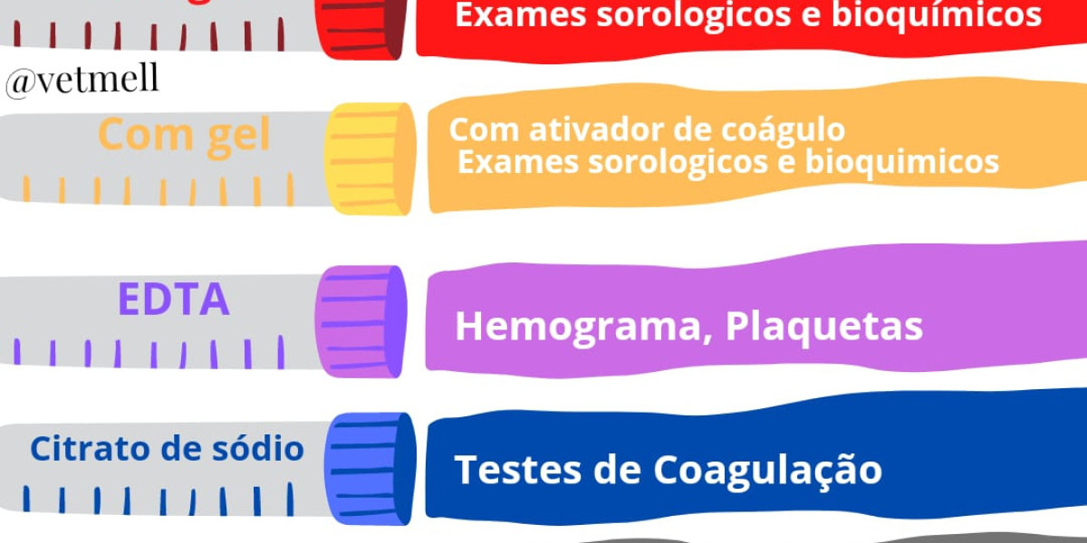 Pruebas de laboratorio para evaluar la función renal en gatos: Una guía completa Actualizado mayo 2024