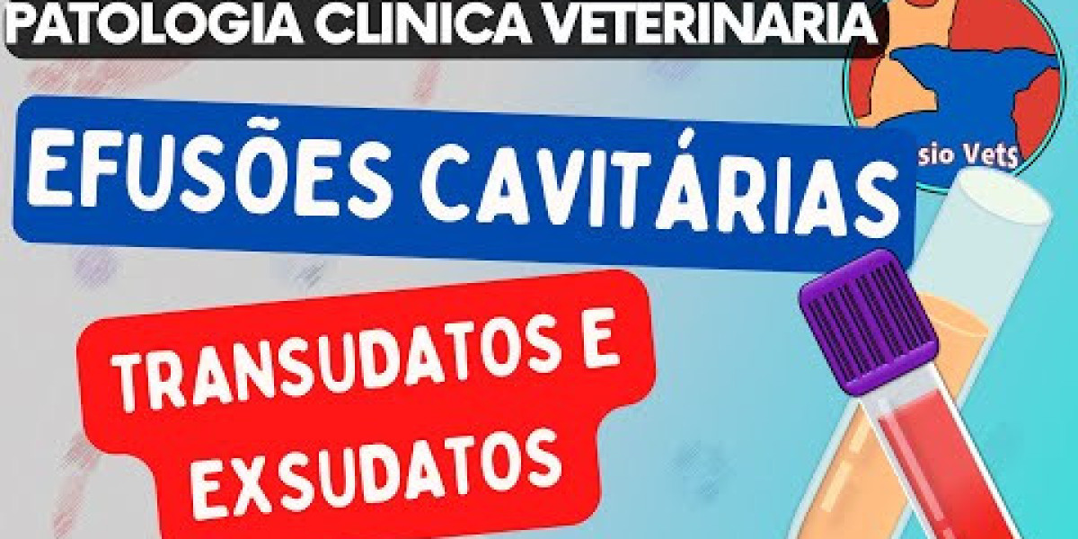 Radiografía para mascotas