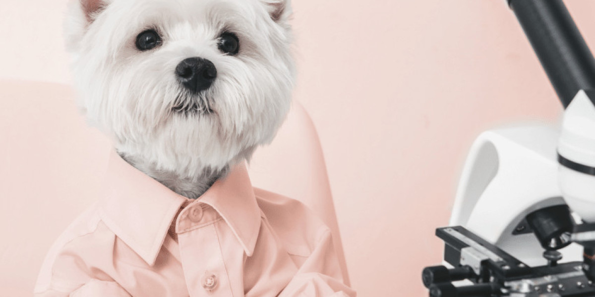 Hormonal Imbalance in Dogs: 9 Vet-Explained Signs & How to Treat It