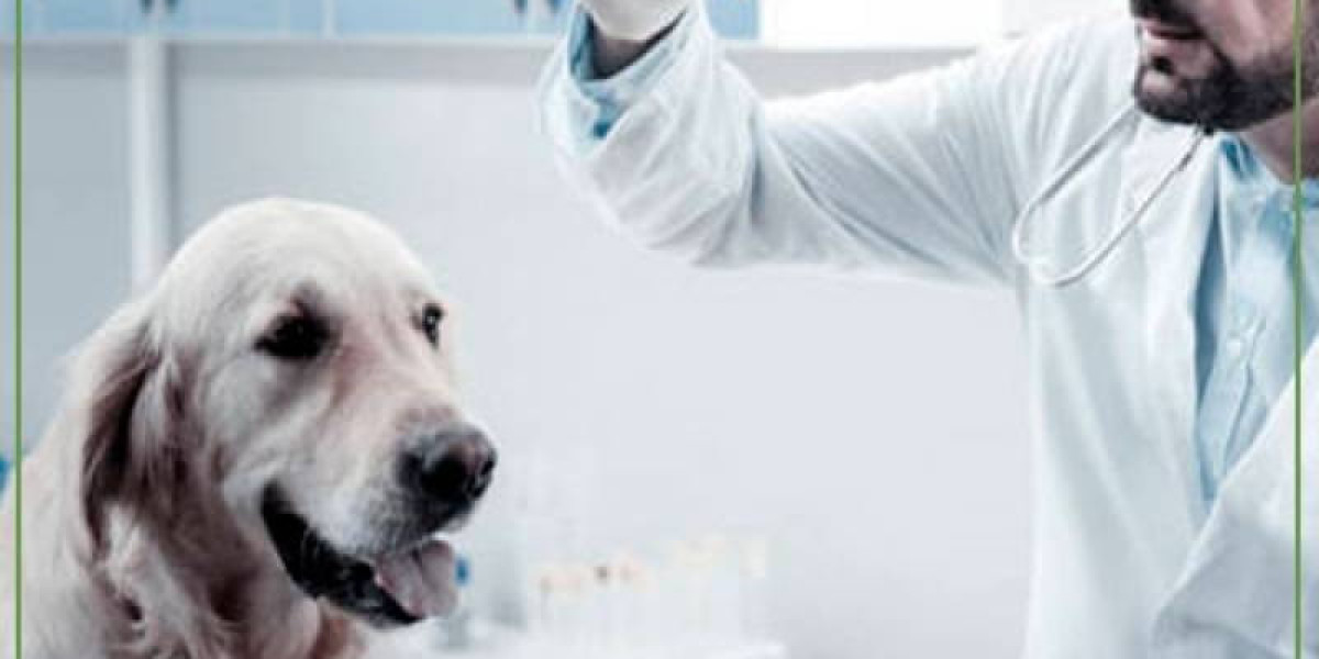 24-Hour Emergency Veterinary & Animal Hospital