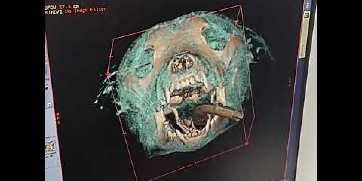 Take a Pet From the United States to Another Country Export Animal and Plant Health Inspection Service