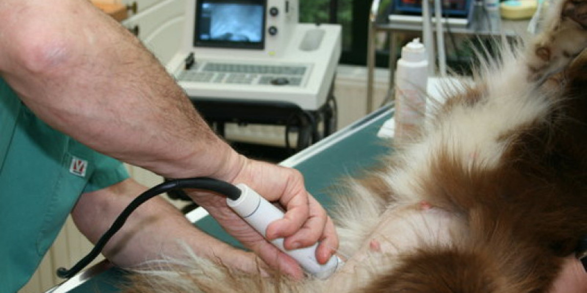 ‎PetTest Digital Companion App on the App Store