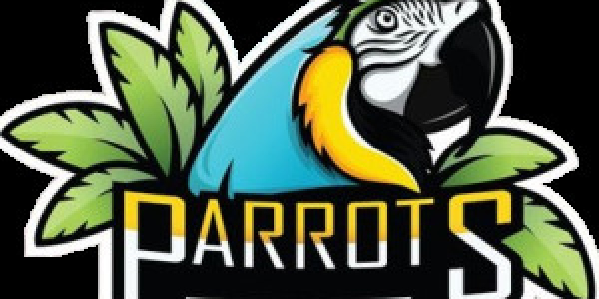 20 Things That Only The Most Devoted Casco Parrot For Sale Fans Understand