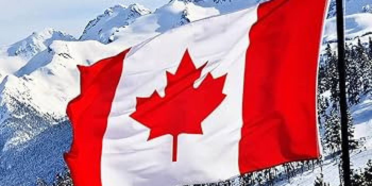 Canada Work Permit Lmia In Dubai