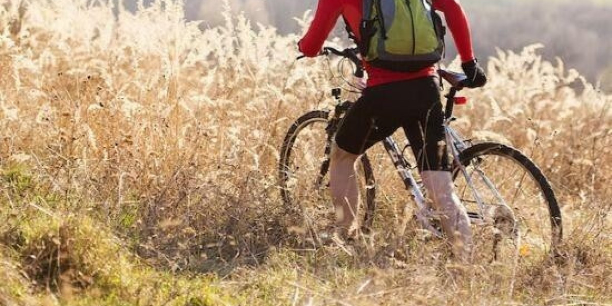 Washington DC Plane Crash: Authorities Recover 41 Bodies After Mid-air Collision