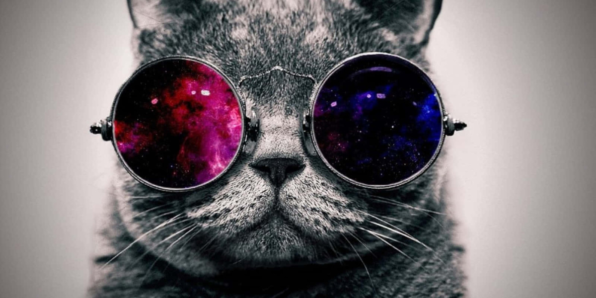 reddit sportsbook pick of the day