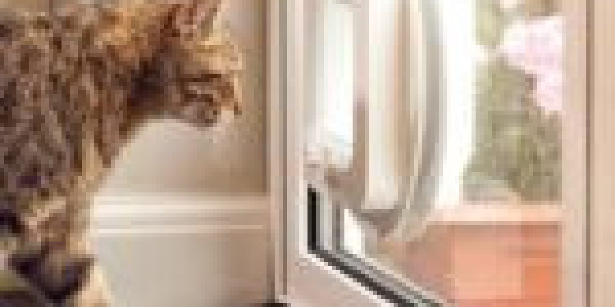 The Most Prevalent Issues In Cat Door Assembly