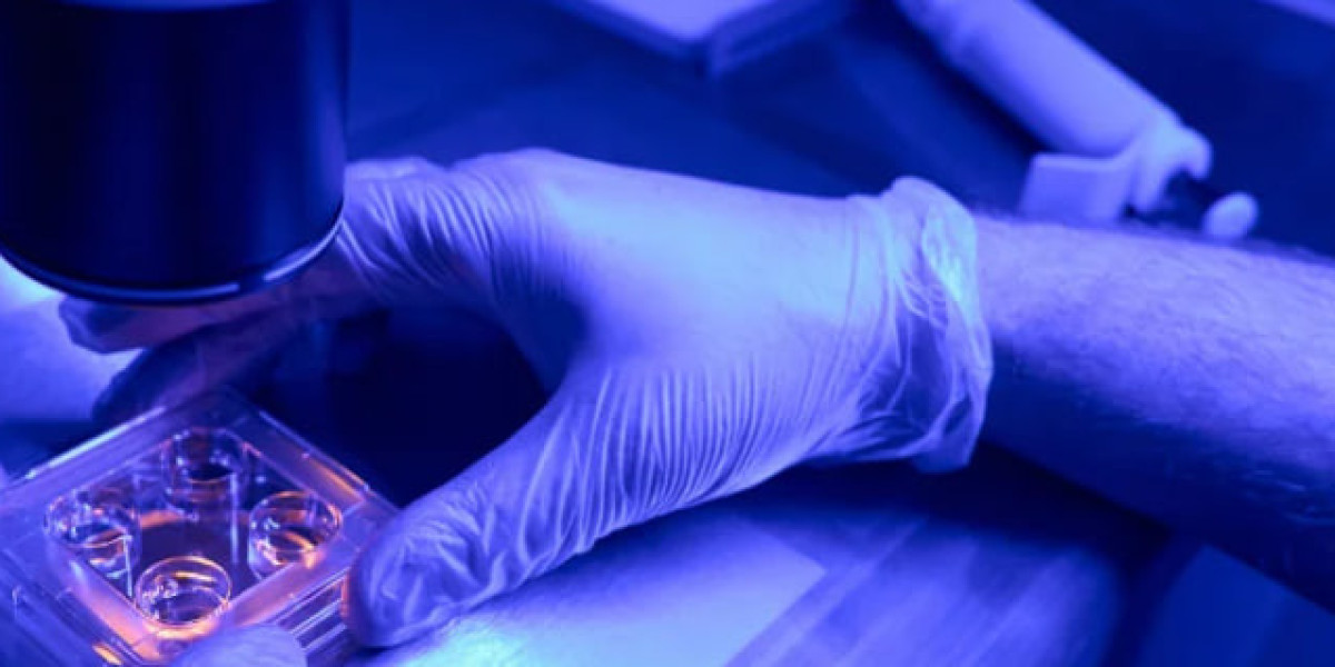 Stem Cells vs Cord Blood