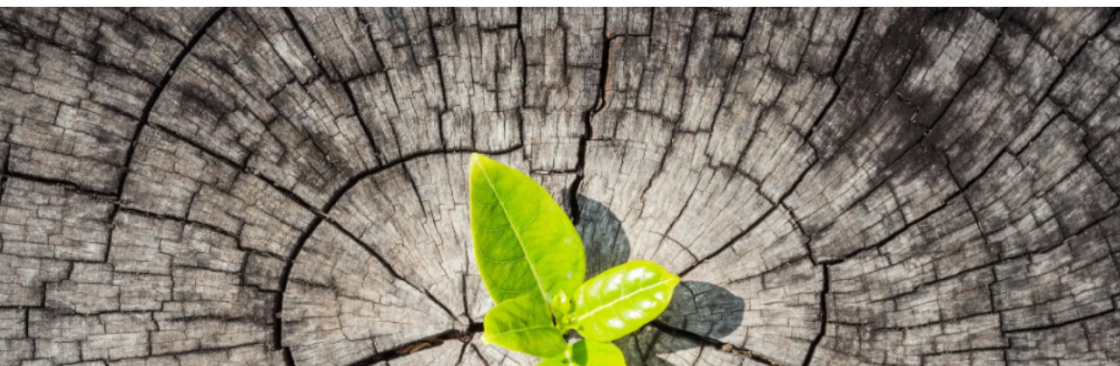 Made For Relationship Cover Image