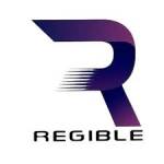 regiblecorporateadvisorllpin Profile Picture