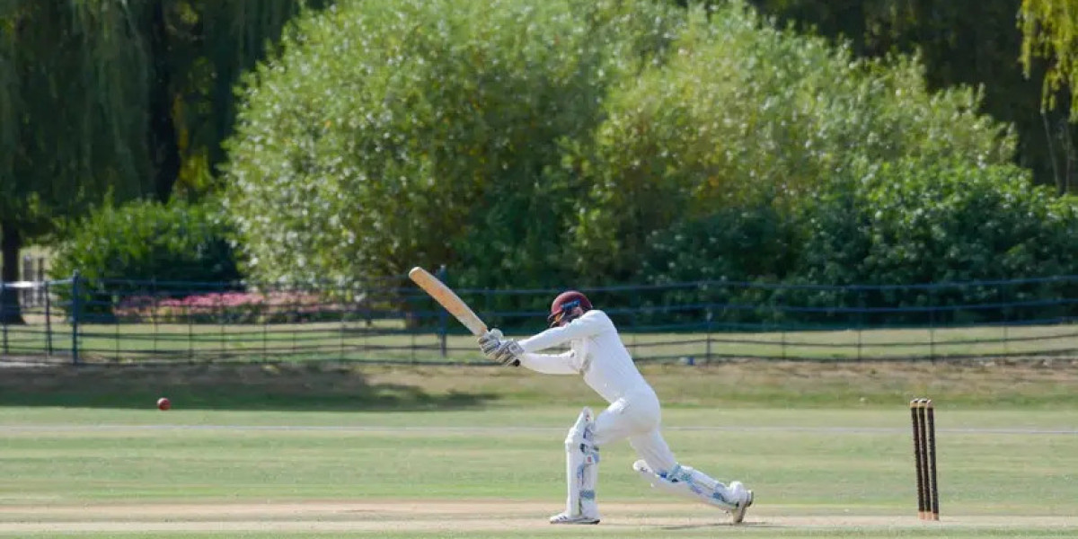 Finally  Someone Gets Cricket Fans Right