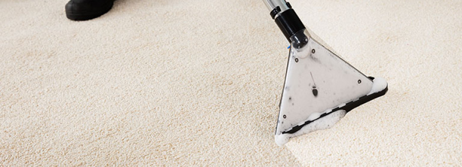 Clean Freaks Cover Image