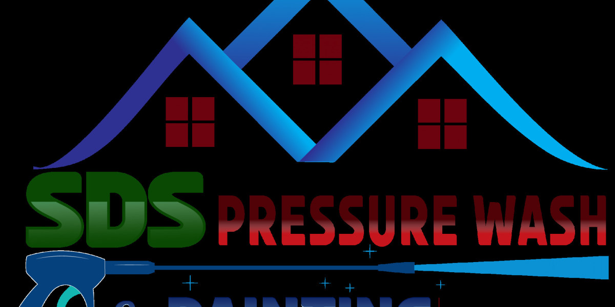 How Mold Removal Services Keep Your Home Safe