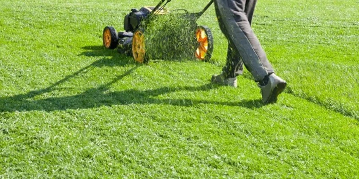 Premium Lawn Care Solutions in Edgewood GA