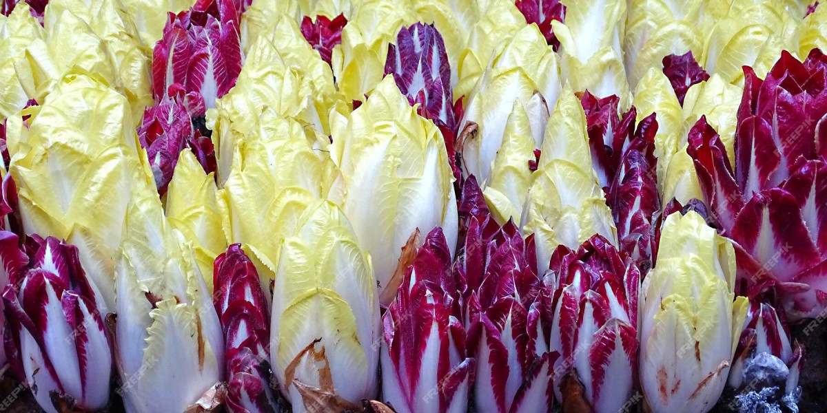 Equipments and Machinery Requirements Report For Chicory Processing and Plant Setup