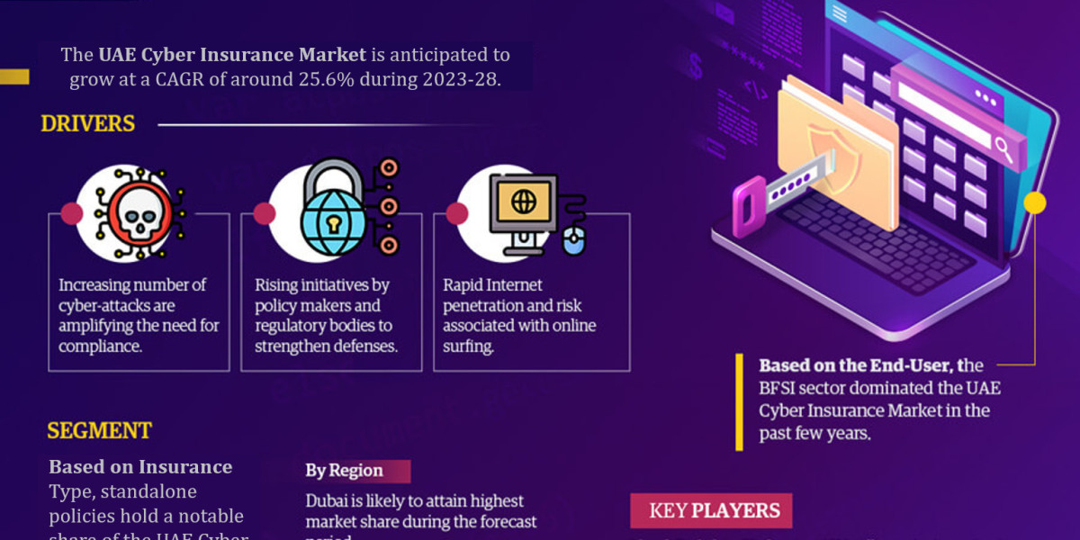 UAE Cyber Insurance Market Growth Trends, Volume Insights & Outlook 2028