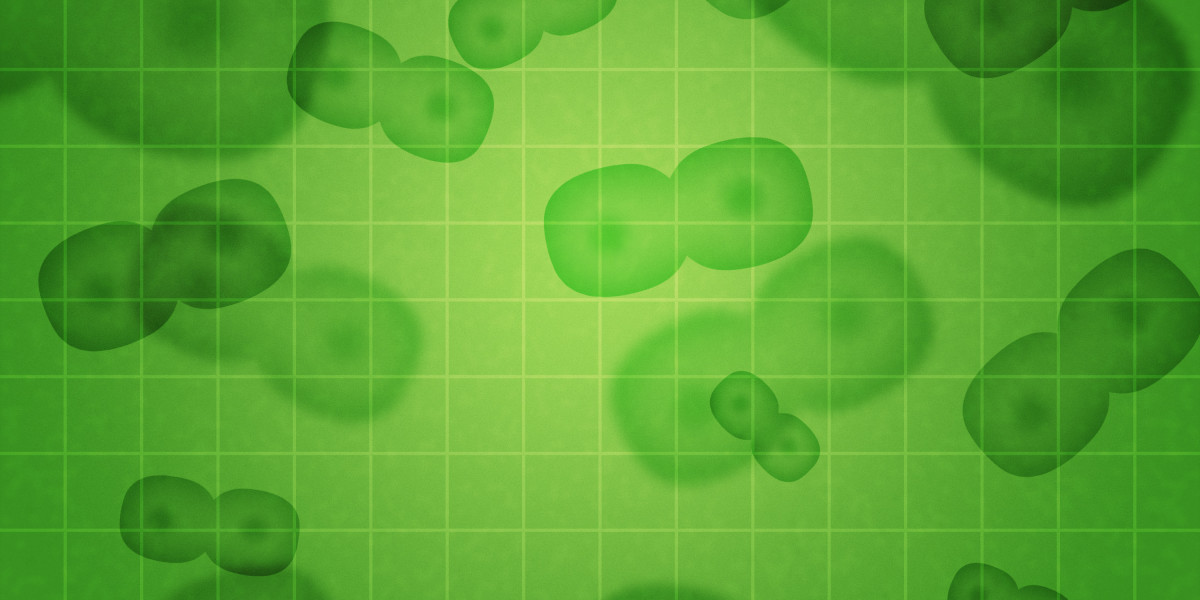A Case Study on Sugar Daddy Websites in Austin: Navigating Relationships in the Digital Age