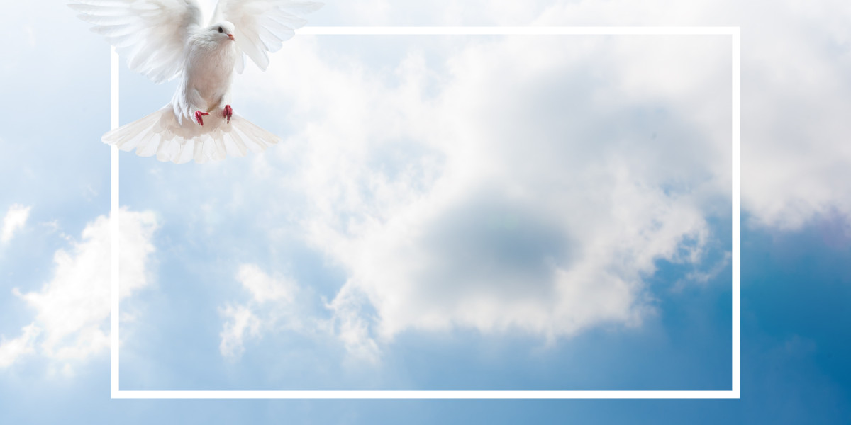 Understanding Sugar Daddy Sites within The UK: A Comprehensive Analysis