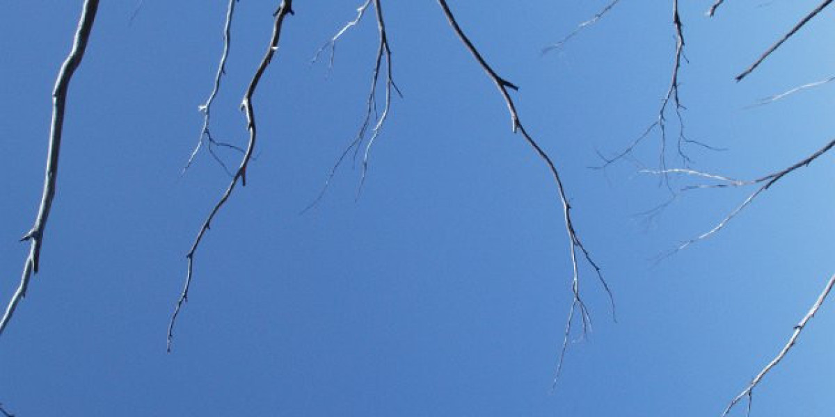 Anavar For Girls Advantages, Dosage, Unwanted Effects & Safe Use Information