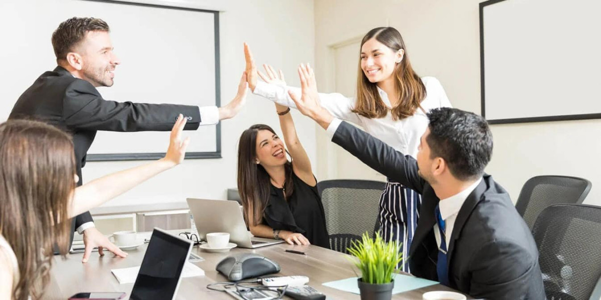 Boost Your Business with Web Development in Bareilly