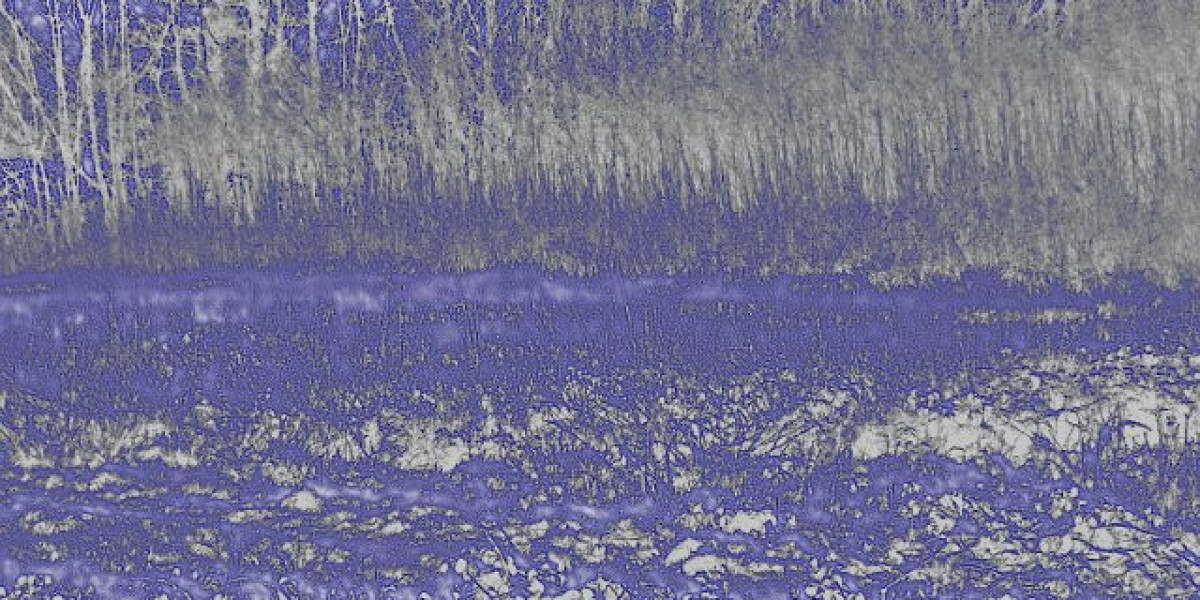 STH-Sportwagen – Der Traum auf vier Rädern