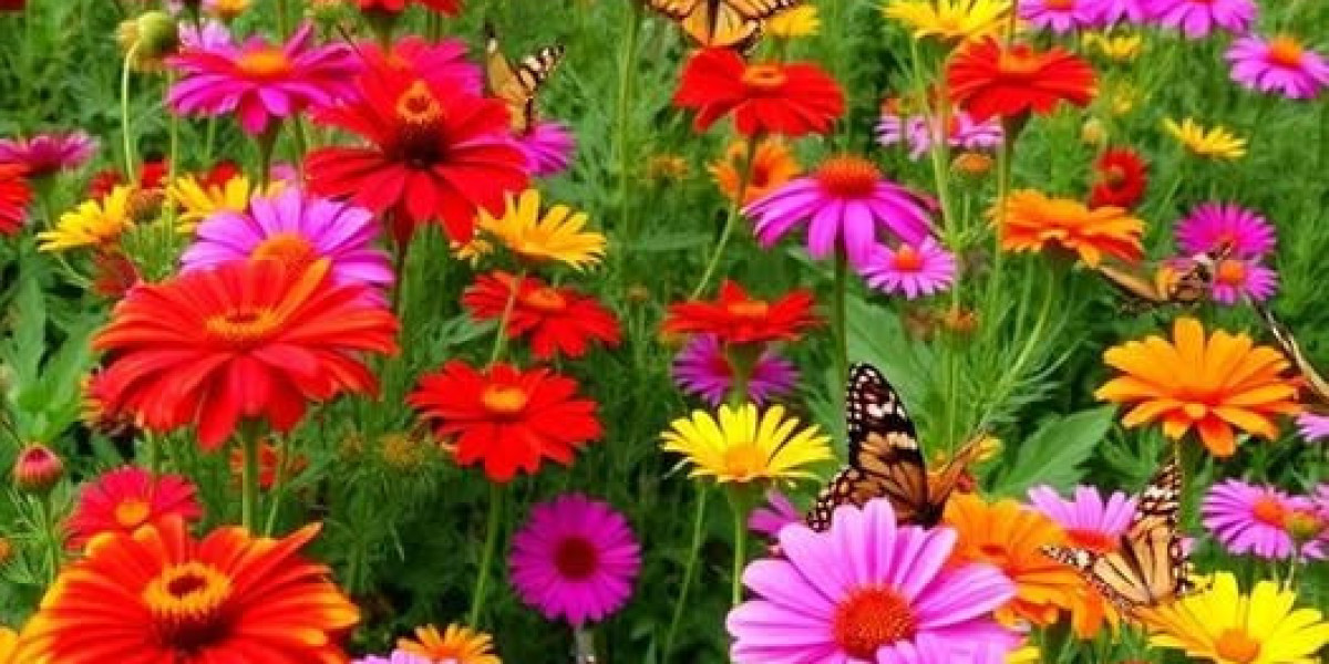 Bucs Place Special Job interview with Najee Goode