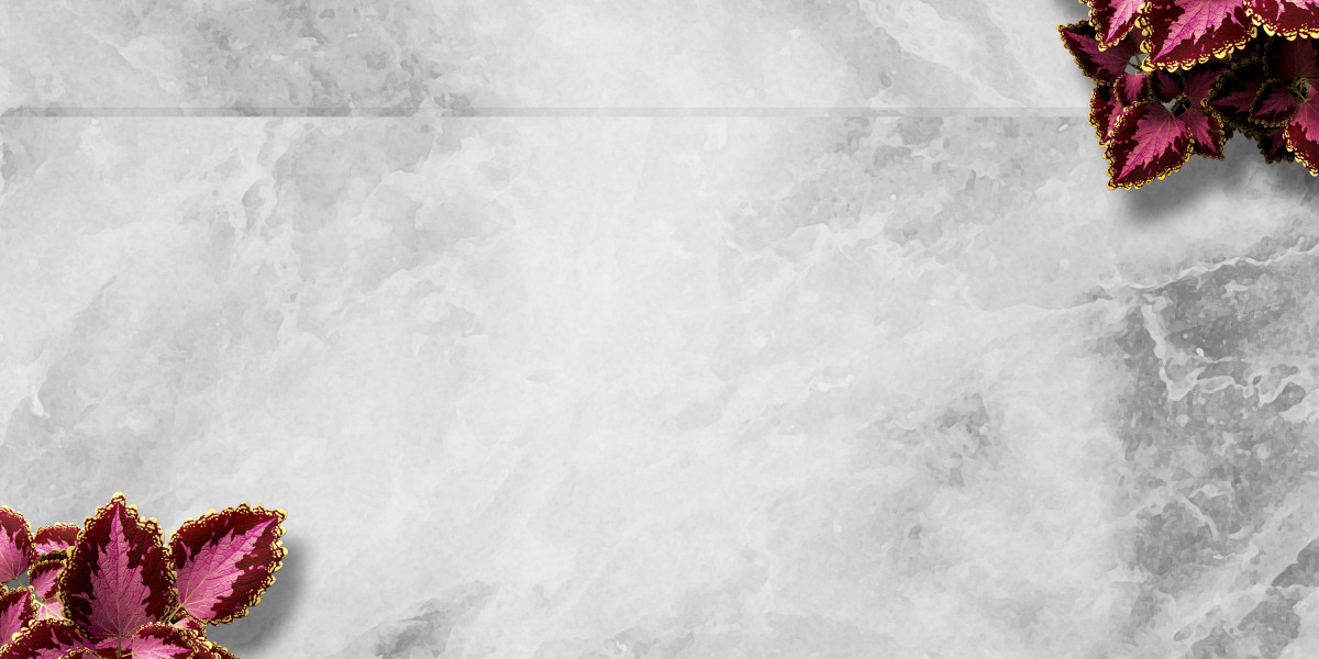 Sugar Daddy Websites in Hillsborough County: An Outline