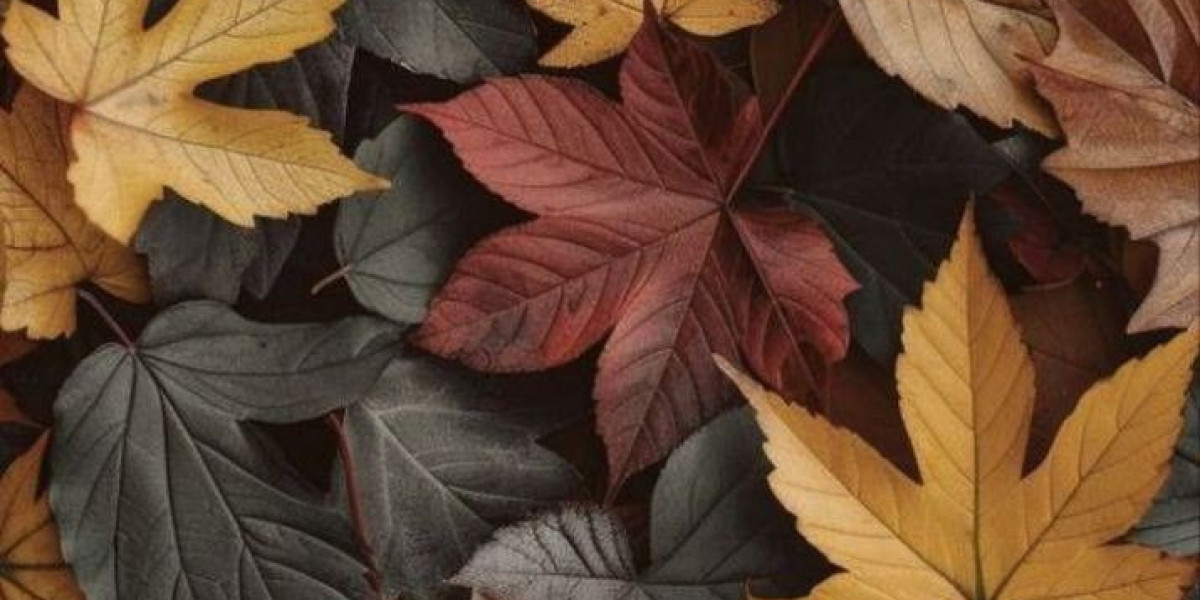 Bankomat usa Secure and Reliable CC Shopping Experience