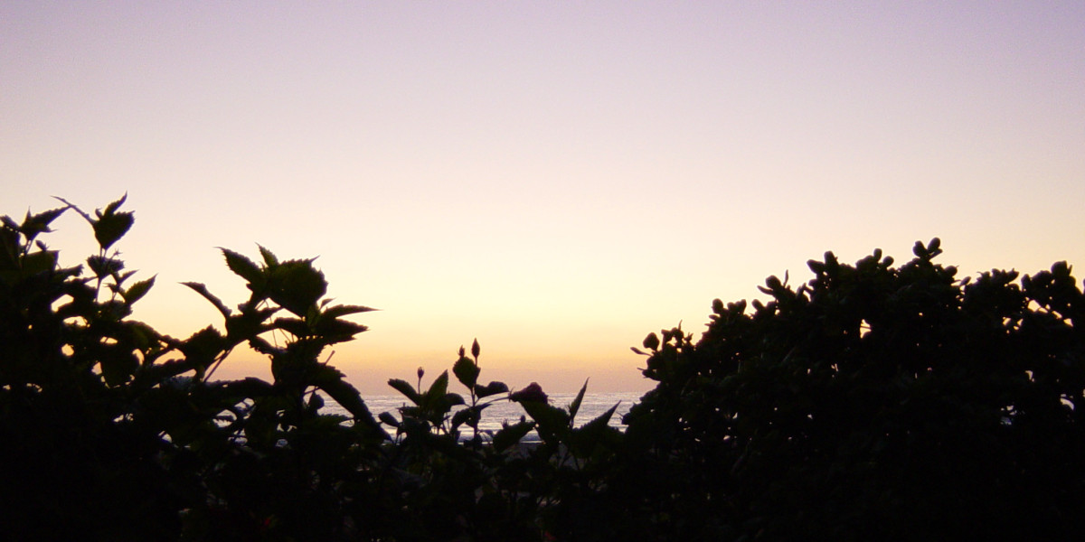 Peptide Therapy Sermorelin Vs Cjc Ipamorelin Livv