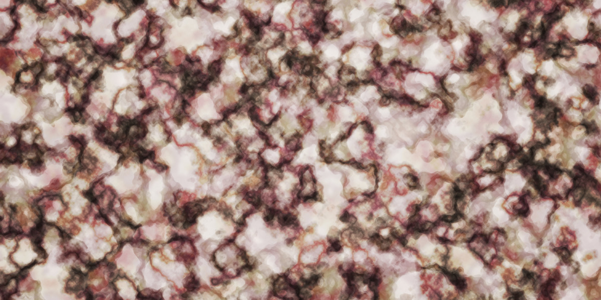 Understanding Loans with No Credit Check for People With Bad Credit