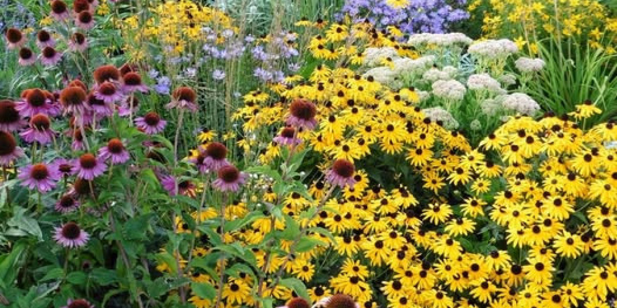 Alabama Purchase Lousy Information Upon Star WR As DeBoer Tension Builds