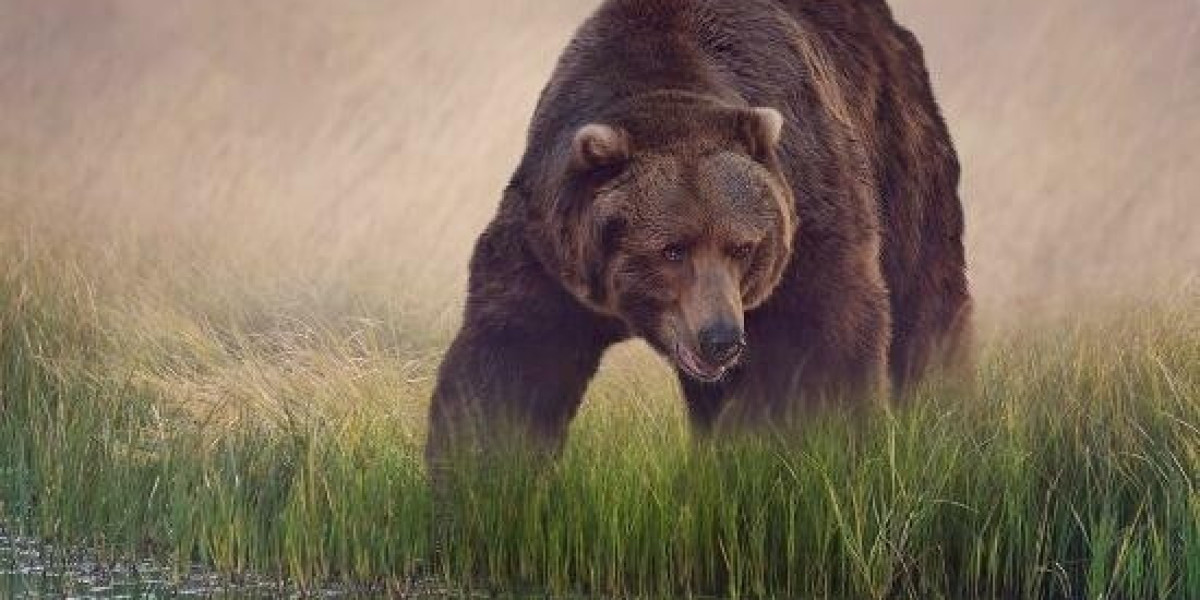 Anthony Joshua: Betfred's Boxer Tweets Broke Gambling Rules, Says ASA