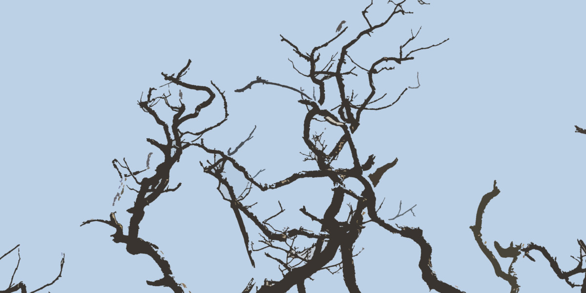 Wachstumshormon HGH: Laborwerte verstehen