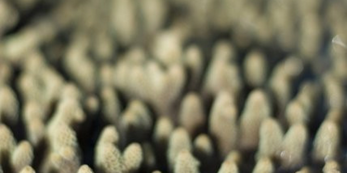 Sermorelin Ipamorelin Blend Dosage