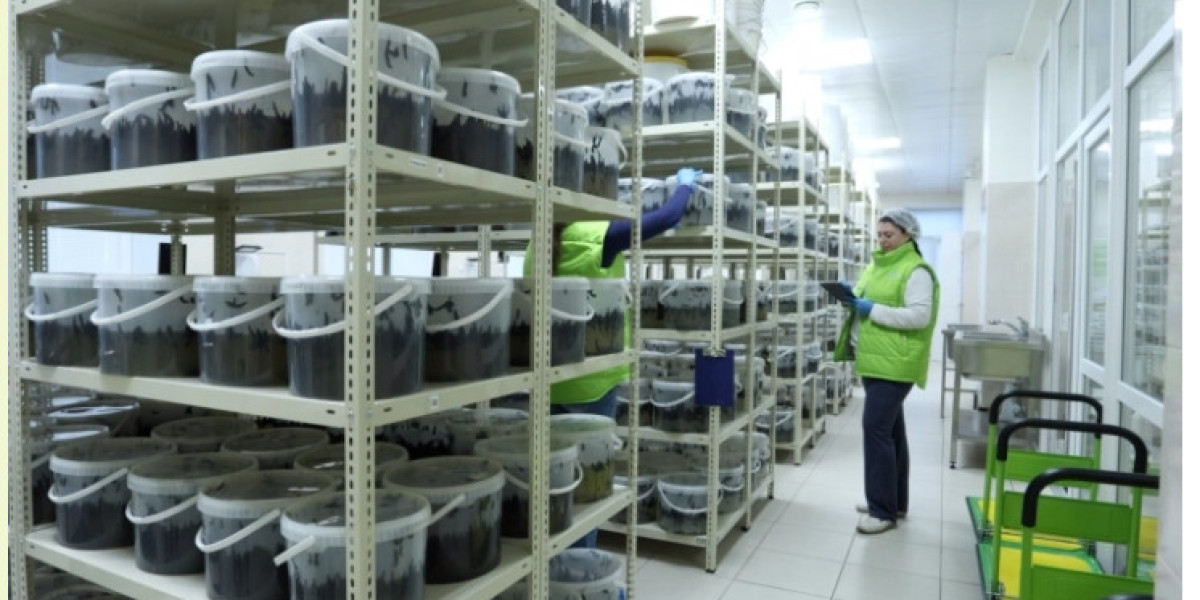 Купить пиявки - медицинские (лечебные) от производителя "Гирудофарм"