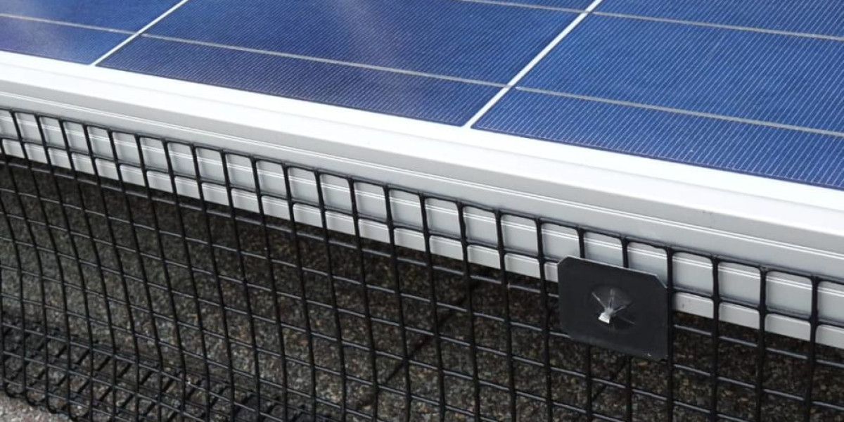 Solar Panel Bird Proofing: Why Bird Mesh Installation Matters