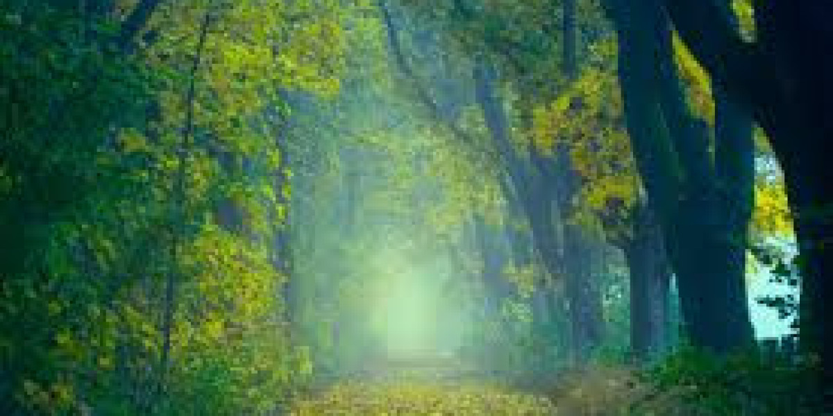 How Technology Is Changing the Way We Cook and Eat